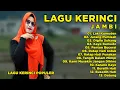 Download Lagu Kumpulan Lagu Kerinci Jambi Full Album Banyak Dicarai Teman Perjalanan