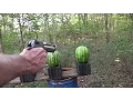 50 AE Desert Eagle vs Watermelons