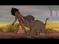 Focus on the Bare Necessities | The Jungle Book