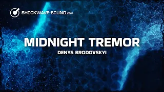 midnight tremor breakbeat edm royalty free stock music denys brodovskyi shockwave sound com