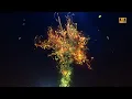 After Effects Template - Tree of Life