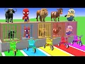 Download Lagu Long Slide Game with Cow Elephant Gorilla Hippopotamus Tiger 3d Animal Game Funny 3d Animals