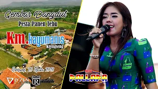 Download Cinta Berawan - Devi Aldiva - New Pallapa Live PT  Kayu Manis Krengseng MP3