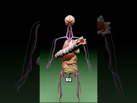 ¿Te Puede Matar Tragar un Caracol Vivo?😮