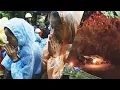 Download Lagu Loved Ones Holding Out Hope Soccer Players Trapped in Thai Cave Are Still Alive