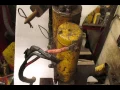 Removing a Meyer E 47 Motor