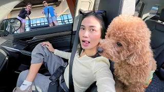 trentahin diaries | productive days in qc, decluttering, introvert-friendly camera & more!