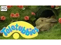 Download Lagu Teletubbies: Rabbits - Full Episode