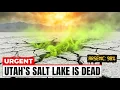 America s Largest Salt Lake Is Dying Their Fix Made It Worse