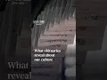 What obituaries reveal about our culture