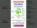 Parts of a Plant and Their Functions Science Facts Do You Know The Study Hub