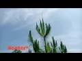 Download Lagu VLOG KE INDAHAN ALAM