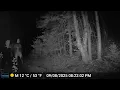Superior National Forest Trail Cam Bull Moose 1