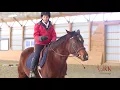 Why Does My Horse Carry His Head So High
