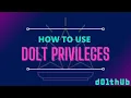 Dolt - Users and Privileges Overview
