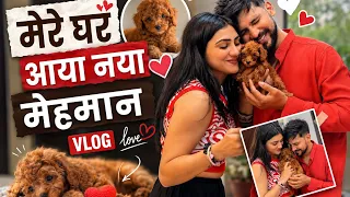 Mere ghar aaya chota mehman🐶🥳❤️🧿