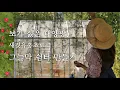 Download Lagu 보기 싫은 태양광 활용 DIY! 새깃유홍초로 그늘막 정원 쉼터 만들기/플랜트월, 그린월/장미에게 9월에 꼭 해야할 일
