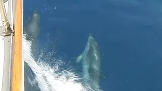 Vulcano – Mediterranean – Season 2-2