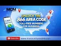 Unlock the Value of 866 Area Code Toll-Free Numbers for Your Business My Country Mobile