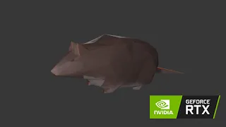 Spinning Rat RTX On 