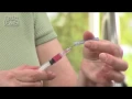 How to Vaccinate Your Cat DrsFosterSmith