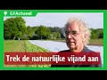 Lagu GFActueel: Sla telen en bladluis bestrijden zonder gewasbeschermingsmiddelen