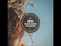 Brisa