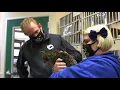 Nevada Humane Society