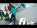 Fi Mini Setup Guide GPS Pet Tracker for Dogs Cats