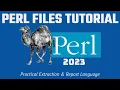 Perl Beginners - 7 ESSENTIAL FILE METHODS Tutorial 2023