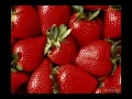 Scooter - Summer Wine