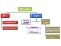 Java Group Training Session 24th