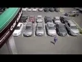 Enterprise Car Sales Commercial