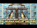 Download Lagu GACOR !! SEMEWAH INI CUMA 200 RIBUAN CILILIN HITAM LEWAT !!!