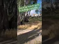 Favorite Park in Murrieta CA