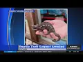 Suspect arrested after allegedly stealing pricey reptiles from Yucaipa pet store