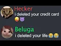 Download Lagu When Beluga Deleted Hecker's Life...