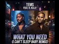 Tems x R. Kelly - What You Need / I Can't Sleep Baby (Remix by DJ B Side)