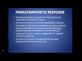 Triphasic Training Bioenergetics Integration Dynamics Method Part 2