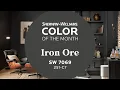 Sherwin-Williams Color of the Month - March 2022 Iron Ore SW 7069