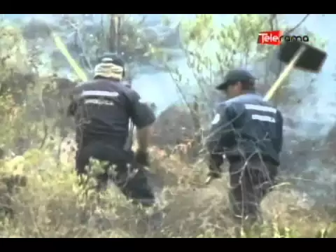 260 hectáreas de vegetación quemadas en lo que va del año