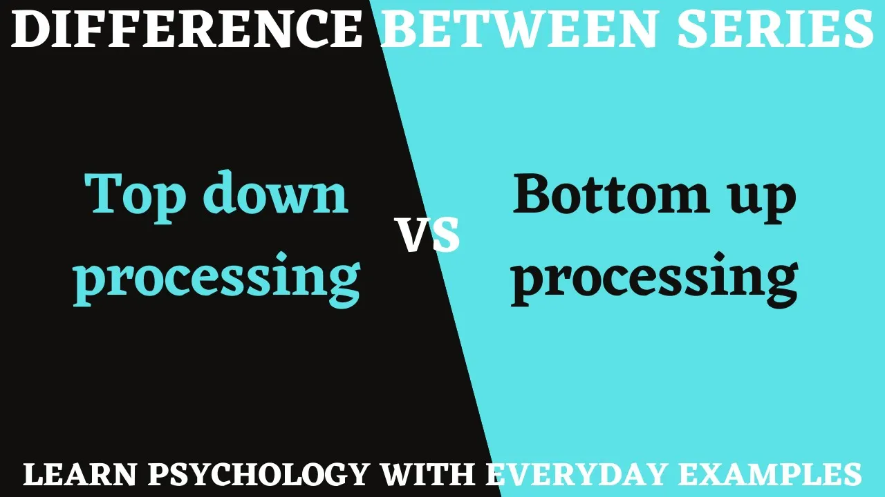 Top down processing vs Bottom up processing || Difference between series || Lecture 2