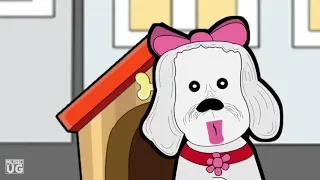كلب بلدى حب كلبة لولو  لا للتحرش  دندنها
