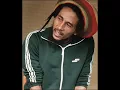 Culture - why am i a rastaman?