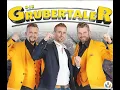 Download Lagu Grubertaler Party Medley