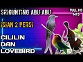 Download Lagu 1 jam masteran srigunting abu abu isian cililin dan lovebird jeda air