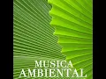 Papeete Beach - Musica Ambiental Clube