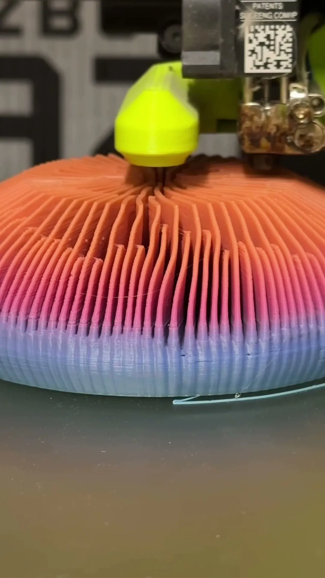 Mushroom Coral