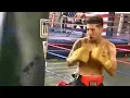 Fernando Vargas Jr works the heavy bag while dad looks on