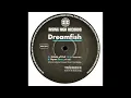 Dreamfish - School Of Fish
